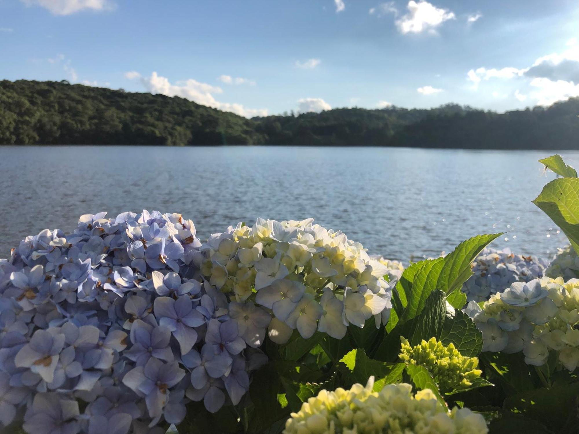Samuara Hotel Caxias Do Sul Zewnętrze zdjęcie